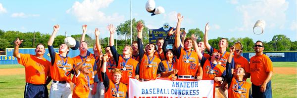 DTigerBaseball Profile Banner