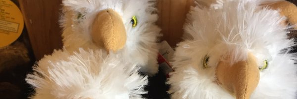 RedOakEagles Profile Banner