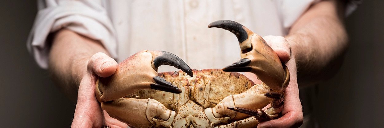 Master Fishmonger banner