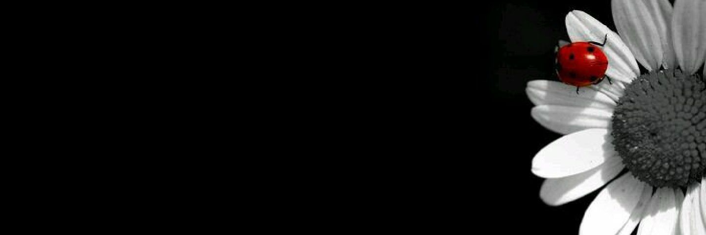 Cemileeozbey's profile banner image