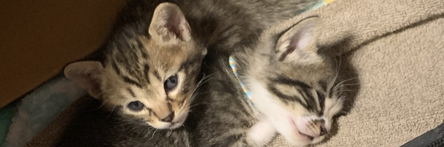 もみじまんじゅう郎 banner