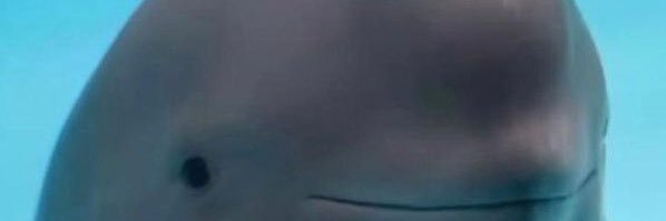 themehhhhh's profile banner image
