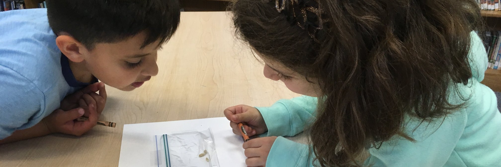 Fairhill ES Library banner