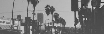 AlfredTarski's profile banner image