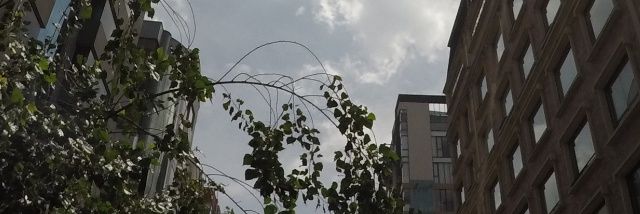 YaUsoCorbata's profile banner image