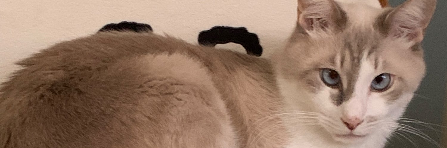 mitos_14's profile banner image