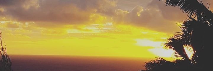 braun37's profile banner image