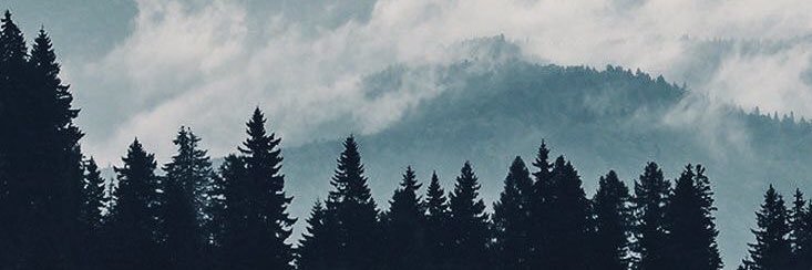 niru13k's profile banner image