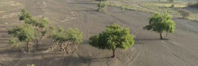 ابو سلام banner