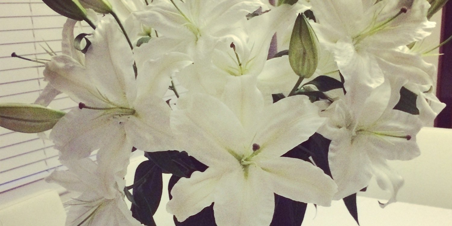 93CharlotteMay's profile banner image