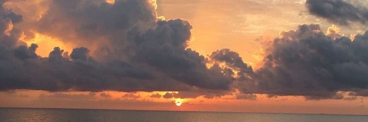 s_ofialuna's profile banner image