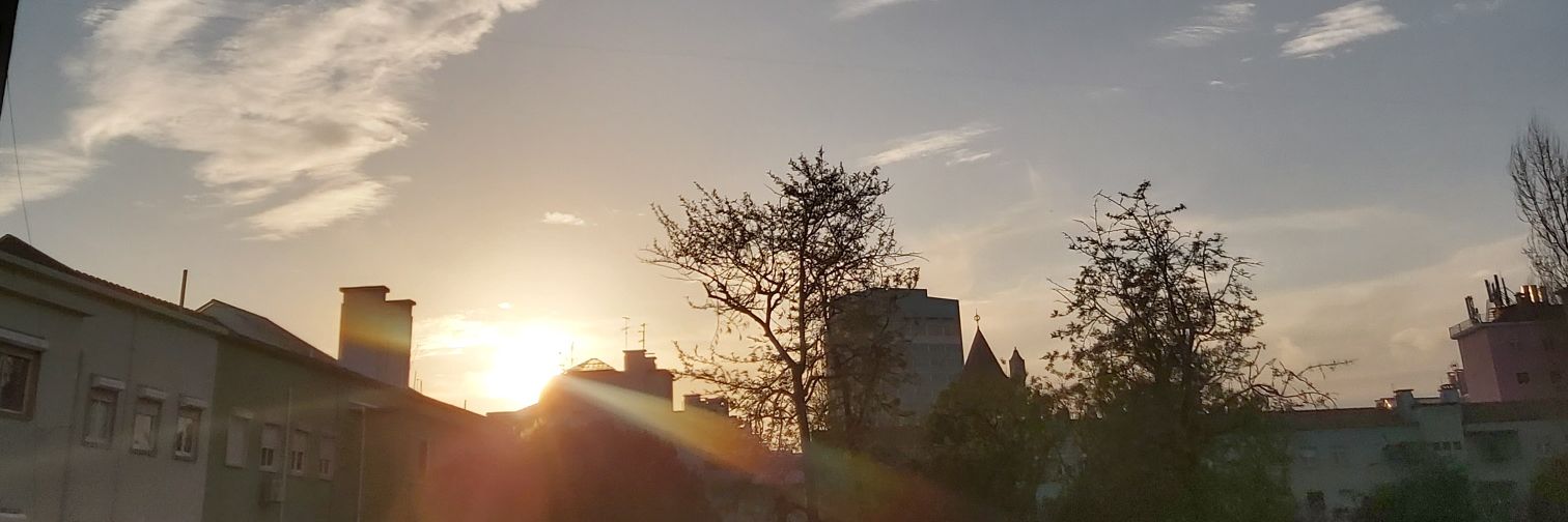 Francisco Rego banner