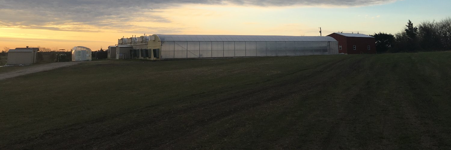 Andy Von Kennel banner