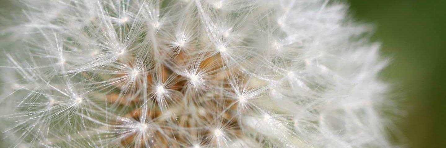 sandisimos's profile banner image