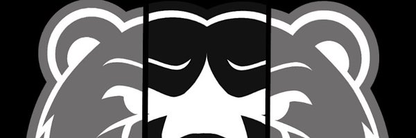 LCBearsBball Profile Banner