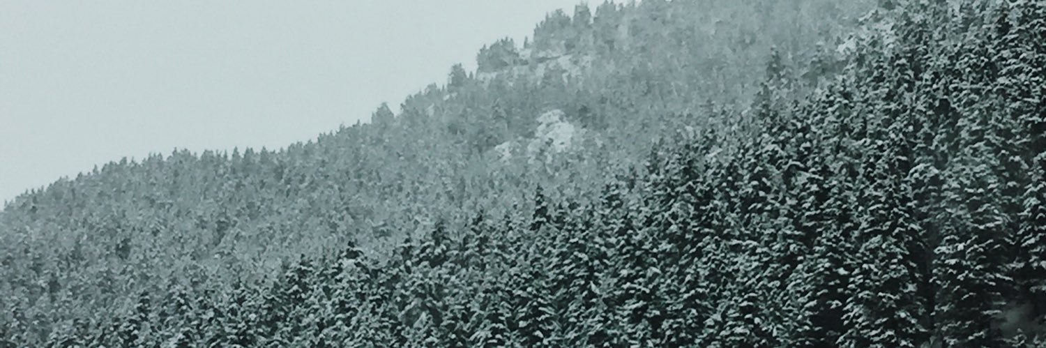 olivia_gwilliam's profile banner image