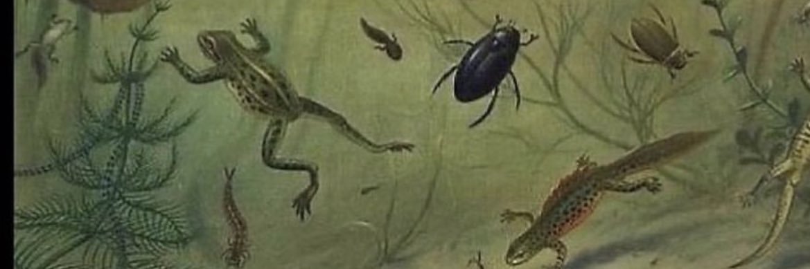 _JSands0's profile banner image
