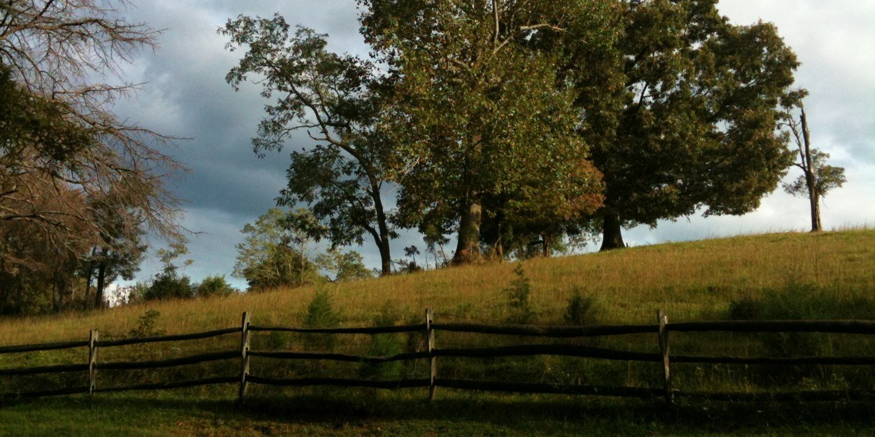 frasergray's profile banner image