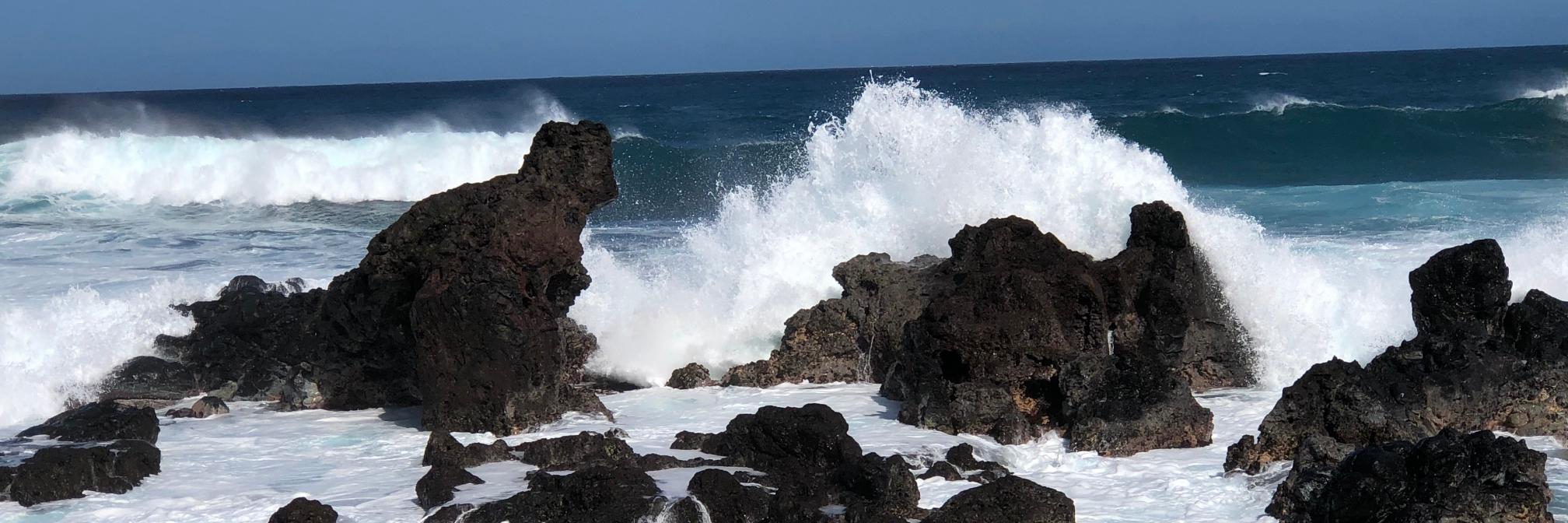 Steph C Barlow banner