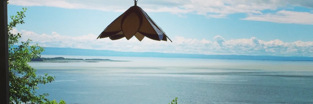 Dr. Geraldine Delbes banner