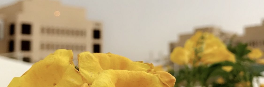 chuchocole4656's profile banner image