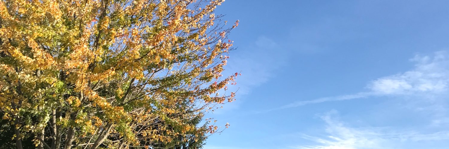 LukeDuubie's profile banner image
