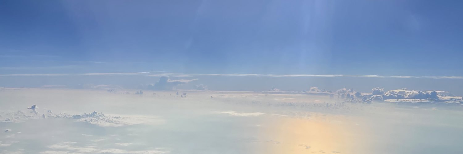 sfreeform banner