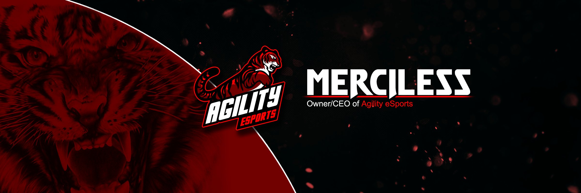 Merciless_AGL's profile banner image
