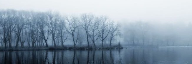 Zay banner