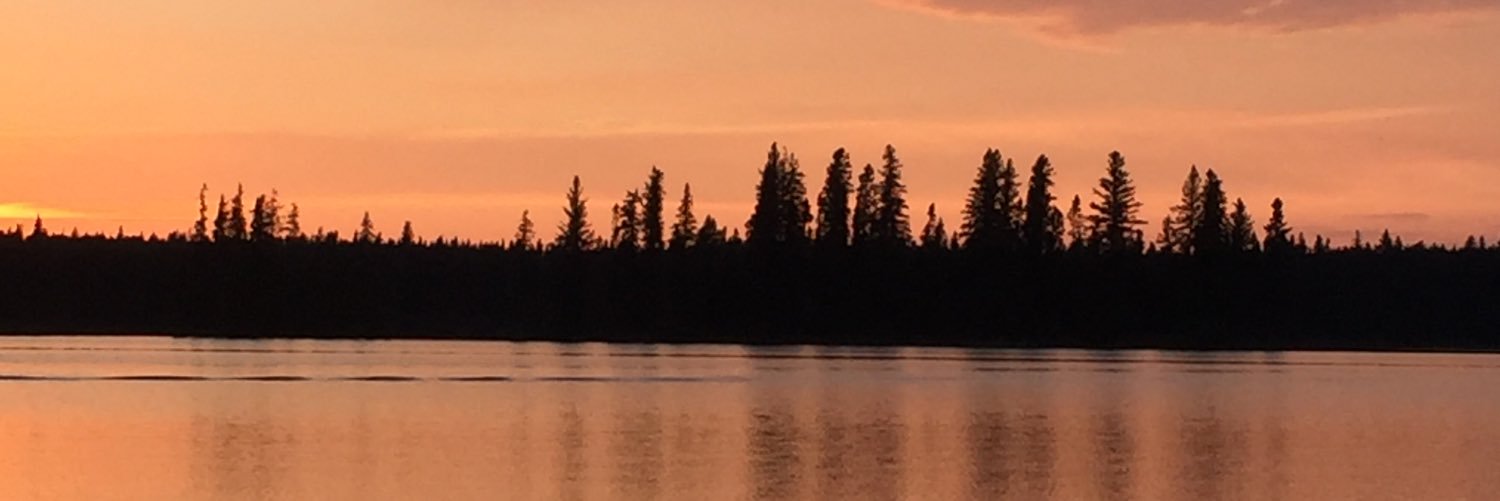 KostiukMichelle's profile banner image