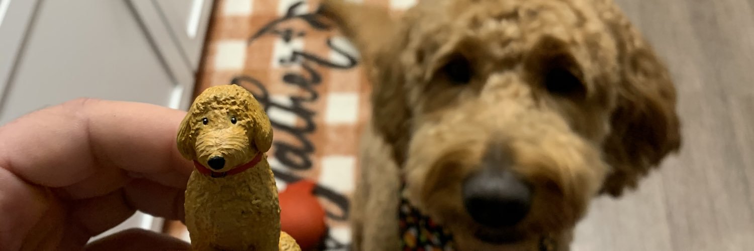 WirthJacob's profile banner image