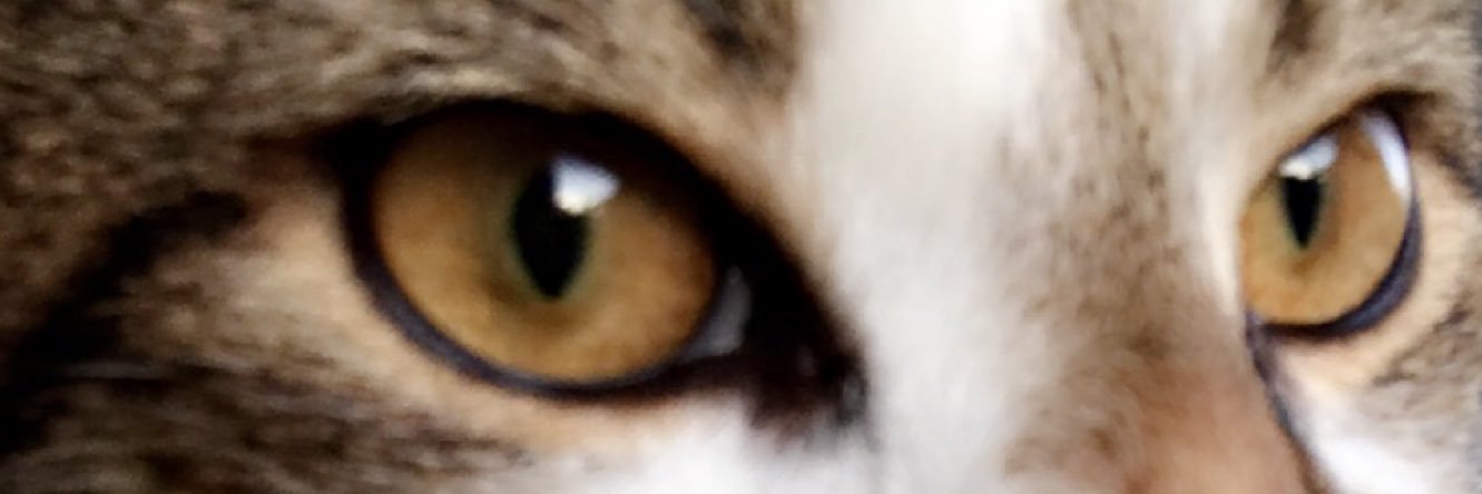 hitaylorrae's profile banner image