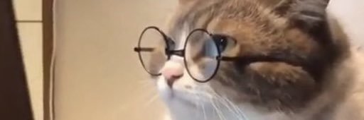 TypicalDeviation 🇺🇦 banner