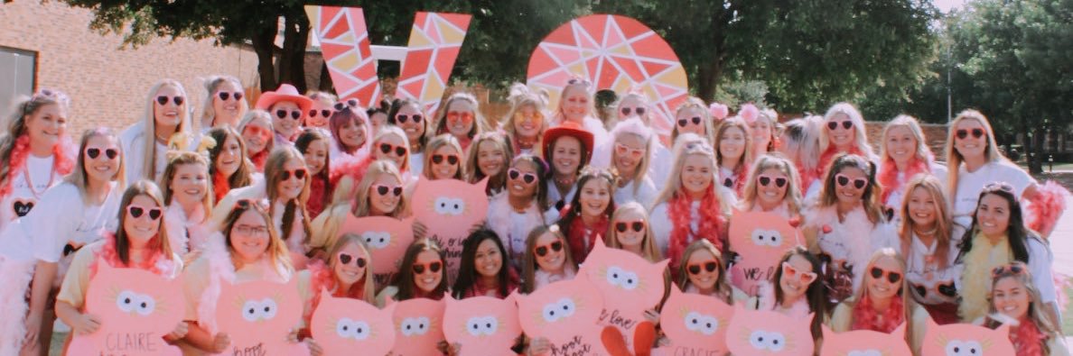 MSU Chi Omega banner