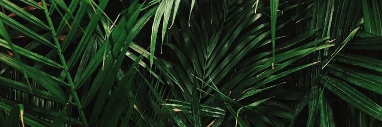 callmelumi_'s profile banner image