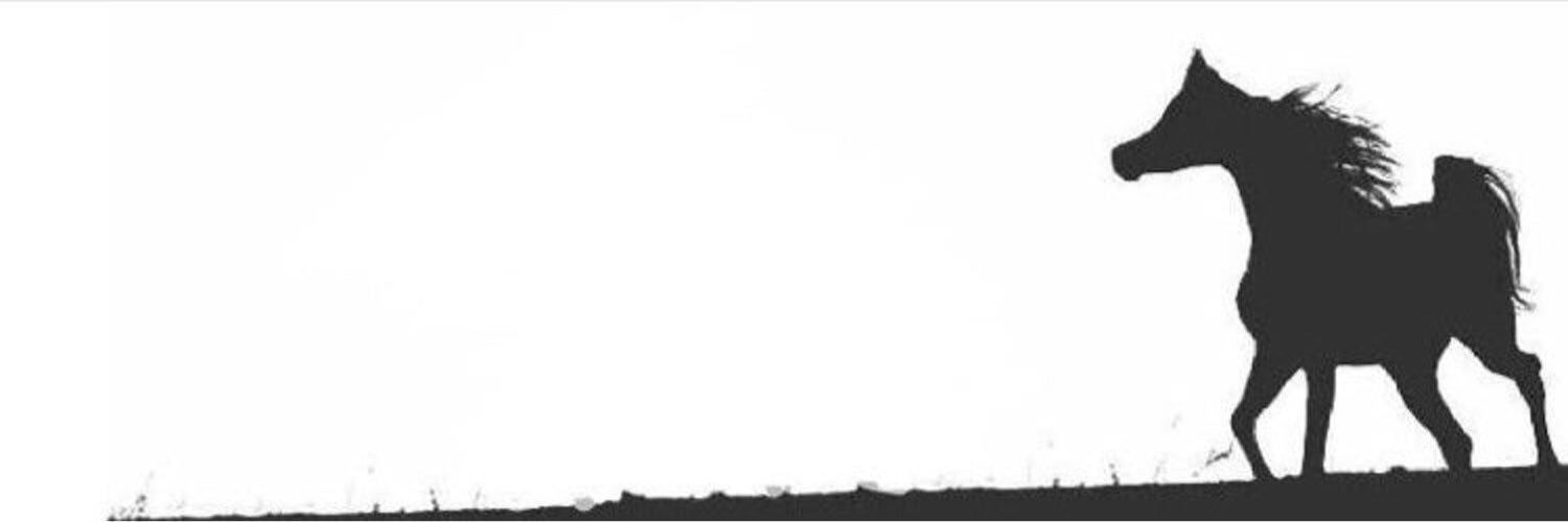 wadmoh2's profile banner image