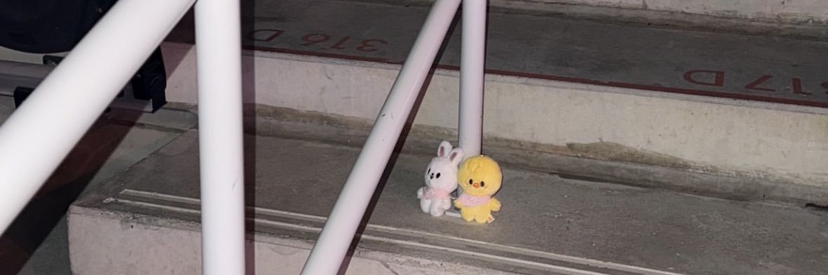 산링 ᓚ₍⑅^..^₎ banner