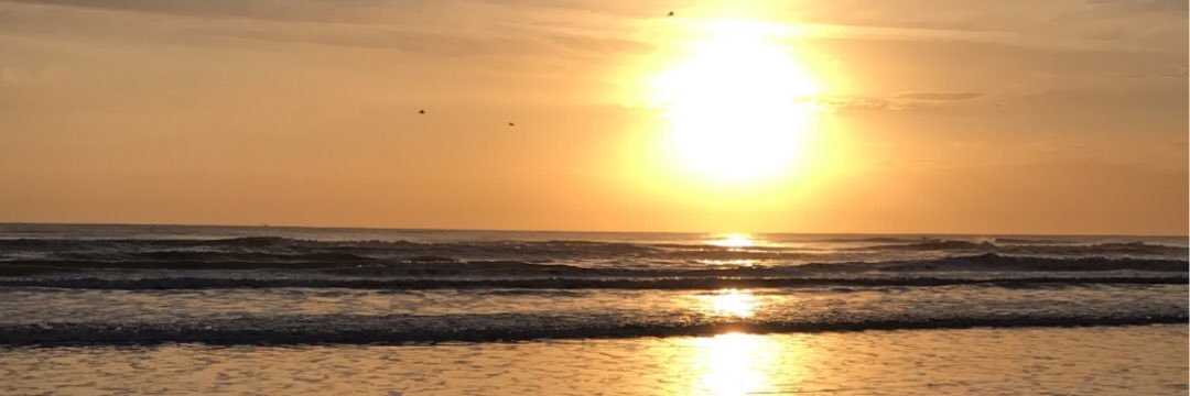carleystarnes's profile banner image