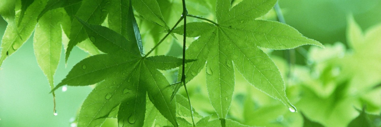 SubhamSahoo62's profile banner image