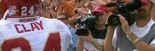 David Reed's banner