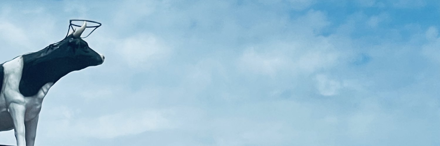 La Reyna del Berrinche 🤠🌈 banner