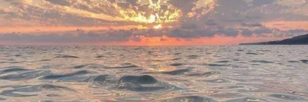 asmaaothman46's profile banner image