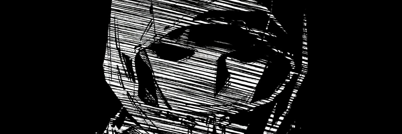 1st Class Dork banner