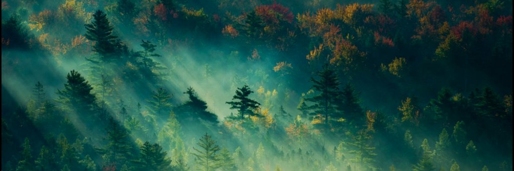 aubrey_auguste's profile banner image