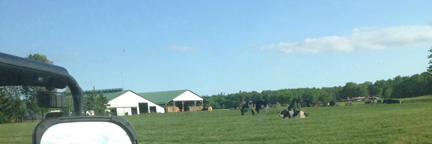 EdgewaterFarms's profile banner image