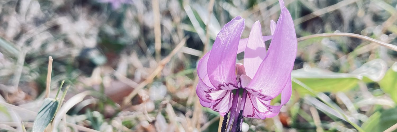 ラカンシェル banner