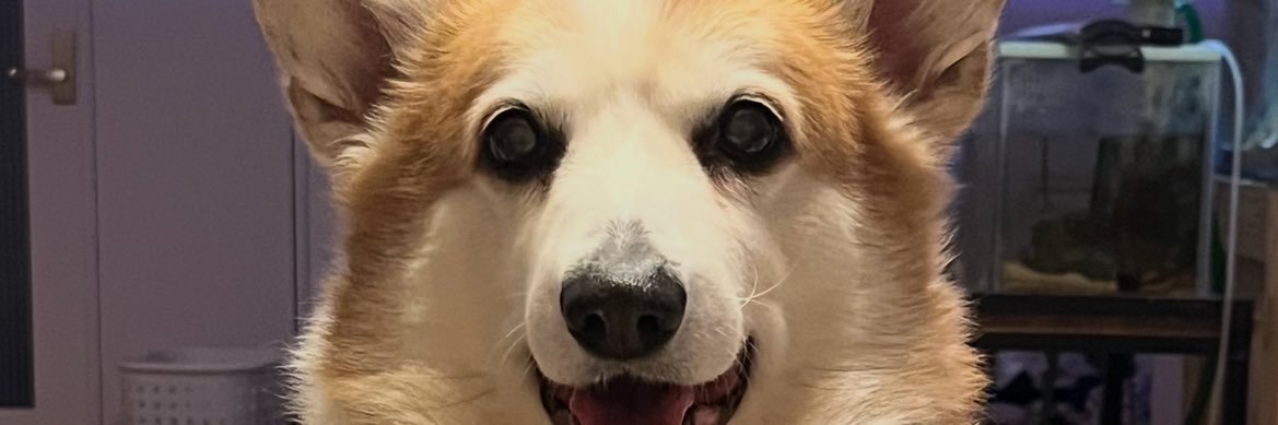 小太郎のお父さん banner
