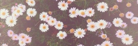 lanie_bible's profile banner image
