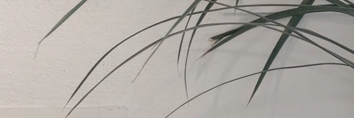 ndefnt's profile banner image