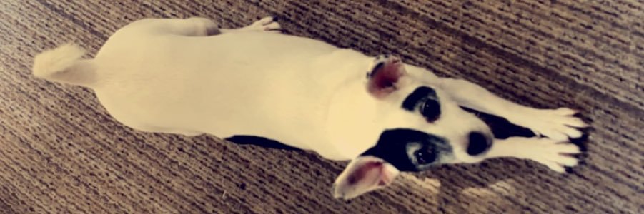 emilymorris77's profile banner image